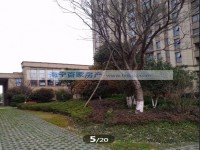 其它图