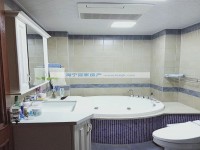 其它图