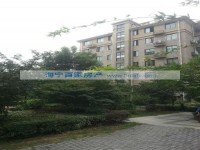  玫瑰园