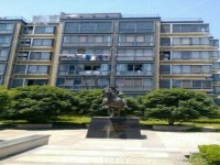 暂停 阳光新城