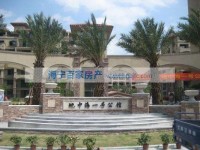  地中海