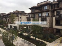  桃花源1跃2