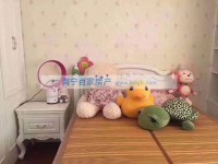 其它图
