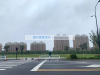 其它图