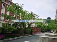  硖石里5跃6