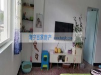 其它图