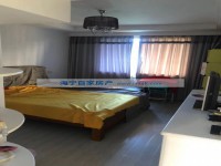 其它图