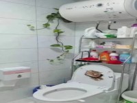 其它图