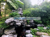 其它图
