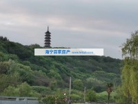 其它图